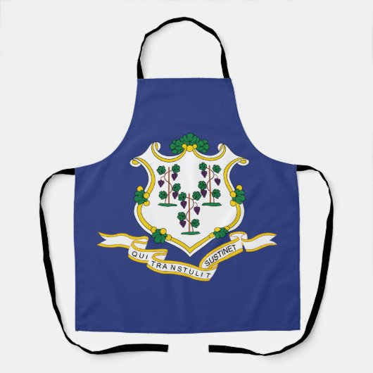 Connecticut Staatsvlag Schort (Voorkant)