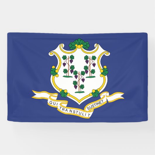 Connecticut Staatsvlag Spandoek (Horizontaal)