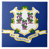 Connecticut Staatsvlag Tegeltje (Voorkant)