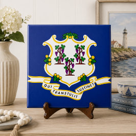 Connecticut Staatsvlag Tegeltje
