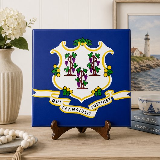 Connecticut Staatsvlag Tegeltje