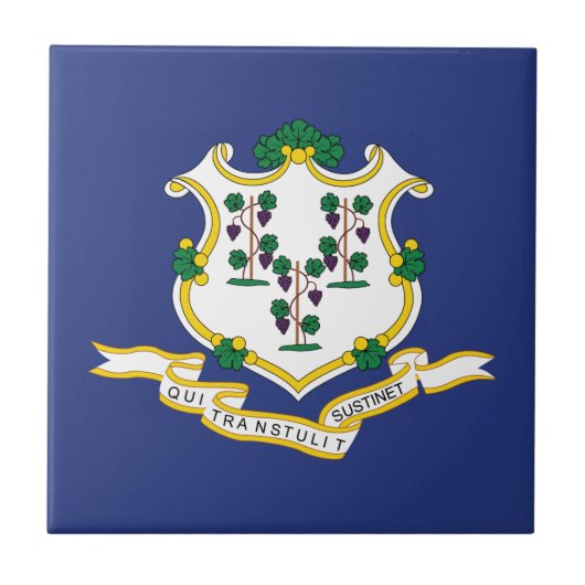 Connecticut Staatsvlag Tegeltje (Voorkant)