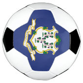 Connecticut Staatsvlag Voetbal (Gedraaid)