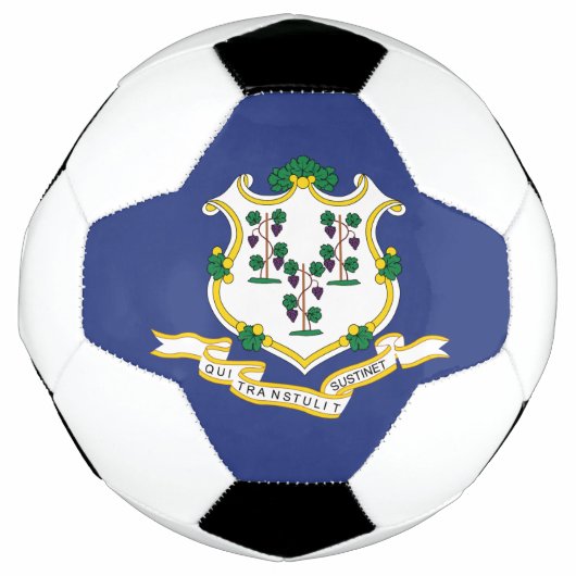 Connecticut Staatsvlag Voetbal (Voorkant)