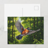 Connecticut Staatsvogel Amerikaanse Roodborst Briefkaart (Voorkant / Achterkant)