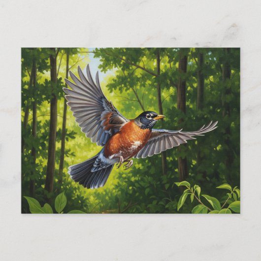 Connecticut Staatsvogel Amerikaanse Roodborst Briefkaart (Voorkant)