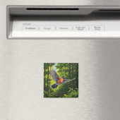 Connecticut Staatsvogel Amerikaanse Roodborst Magneet (Insitu (Vaatwasser))