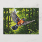 Connecticut State Bird American Robin Briefkaart (Voorkant)