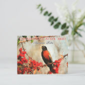 Connecticut State Bird - American Robin Briefkaart (Staand voorkant)