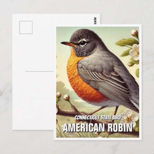Connecticut State Bird Amerikaanse Robin Briefkaart (Voorkant / Achterkant)