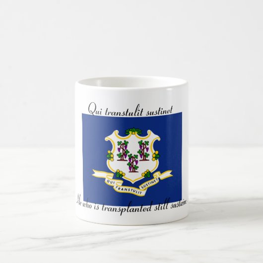 Connecticut State Flag en Motto 11 oz Mok (Center)