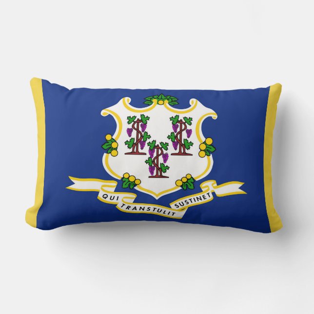 Connecticut State Flag Print Patriottisch Kussen (Voorkant)