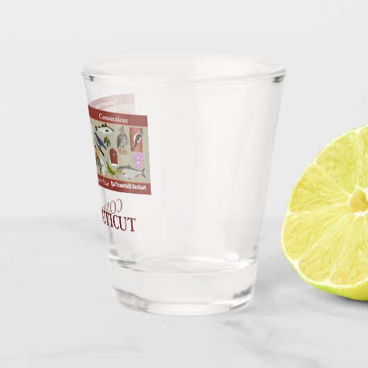Connecticut State-herdenkingsglas Shot Glas (Rechts)