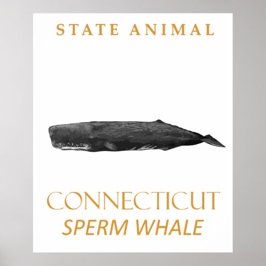 Connecticut Territory Dier Physeter macrocephalu Poster (Voorkant)