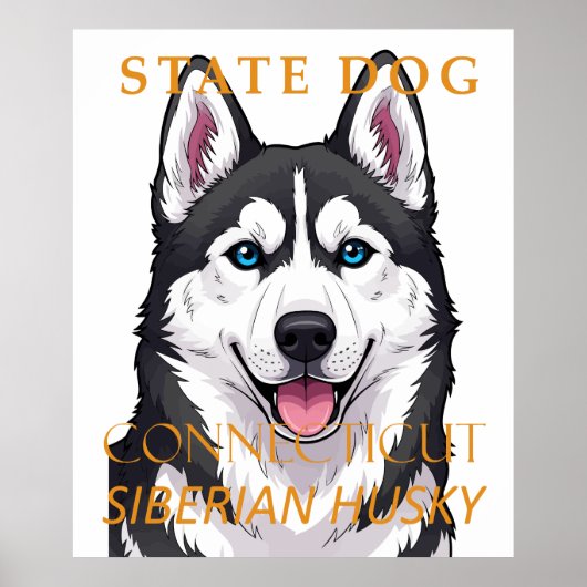 Connecticut Territory Dog Siberische Husky Poster (Voorkant)