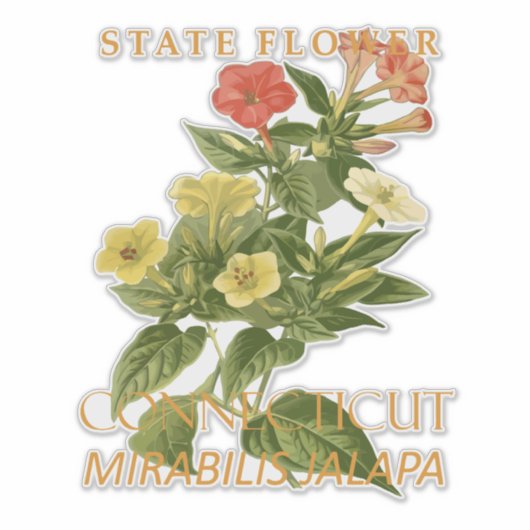 Connecticut Territory Flower Mirabilis jalapa Sticker (Voorkant)