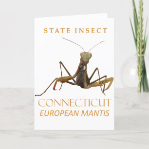 Connecticut Territory Insect De Europese Mantis Feestdagen Kaart