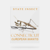 Connecticut Territory Insect Mantis religiosa Acryl Bord (Voorkant)
