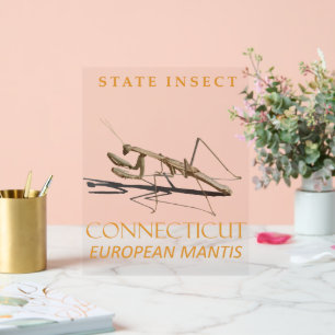 Connecticut Territory Insect Mantis religiosa Acryl Bord