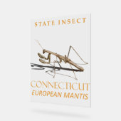 Connecticut Territory Insect Mantis religiosa Acryl Bord (Hoek)