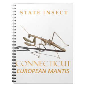 Connecticut Territory Insect Mantis religiosa Notitieboek