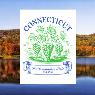 Connecticut The Constitution State Opgericht 1788 Briefkaart