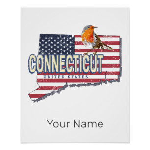 Connecticut Verenigde Staten retro state kaart  Perfect Poster