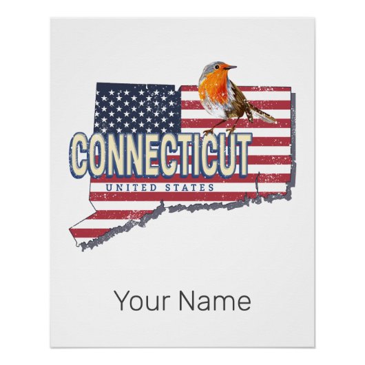 Connecticut Verenigde Staten retro state kaart Perfect Poster (Voorkant)