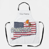 Connecticut Verenigde Staten retro state kaart Schort (Voorkant)