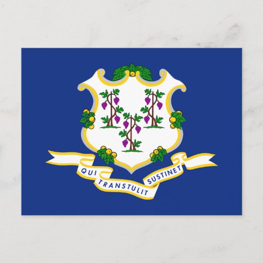 Connecticut-vlag Briefkaart (Voorkant)