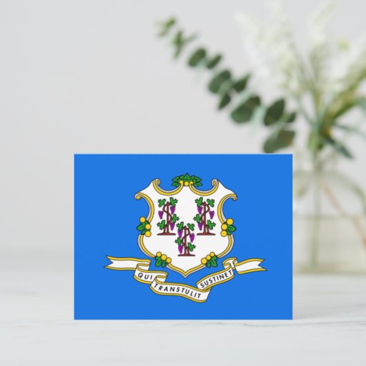 Connecticut-vlag Briefkaart (Staand voorkant)