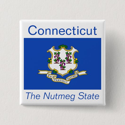 Connecticut Vlag Button (Voorkant)