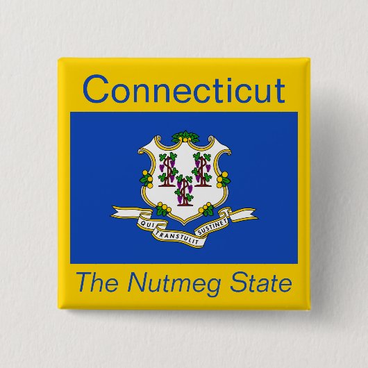 Connecticut Vlag Button (Voorkant)