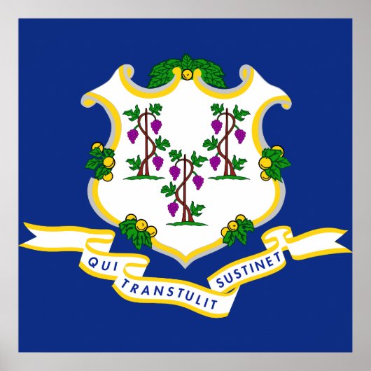 Connecticut-vlag Poster (Voorkant)