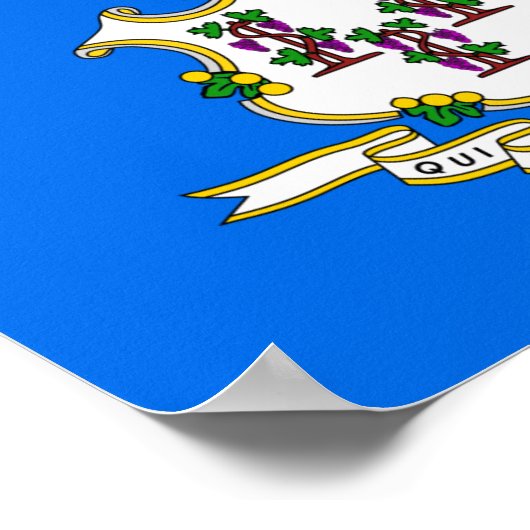 Connecticut-vlag Poster (Hoek)