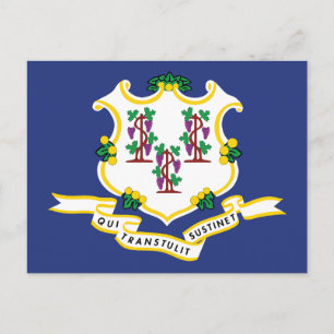 Connecticut Vlag Souvenir Nutmeg Staat Schild Briefkaart