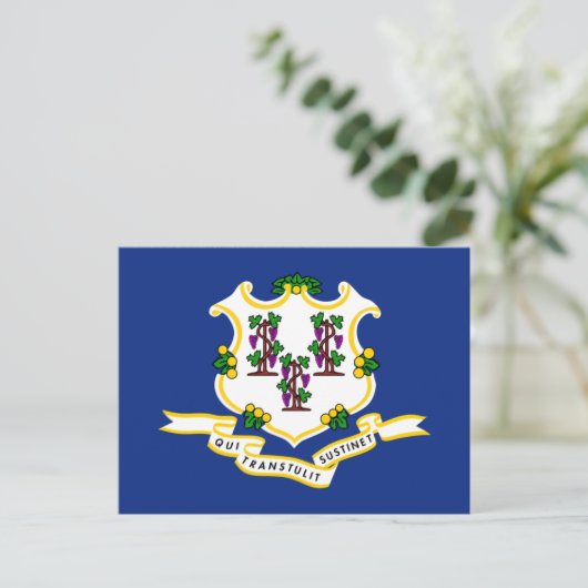 Connecticut Vlag, Vlag van Connecticut Briefkaart (Staand voorkant)