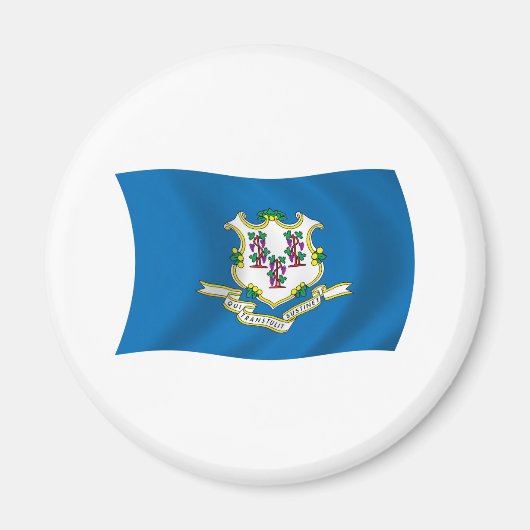 Connecticut Vlagmagneet Magneet (Voorkant)