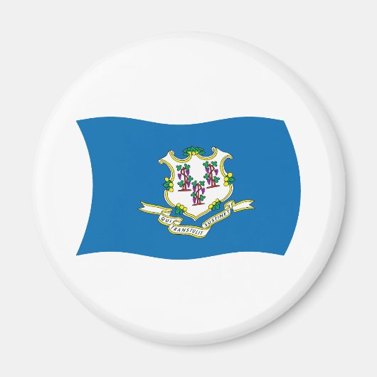 Connecticut Vlagmagneet Magneet (Voorkant)