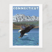 ConnecticutEagle Gevist Briefkaart (Voorkant)