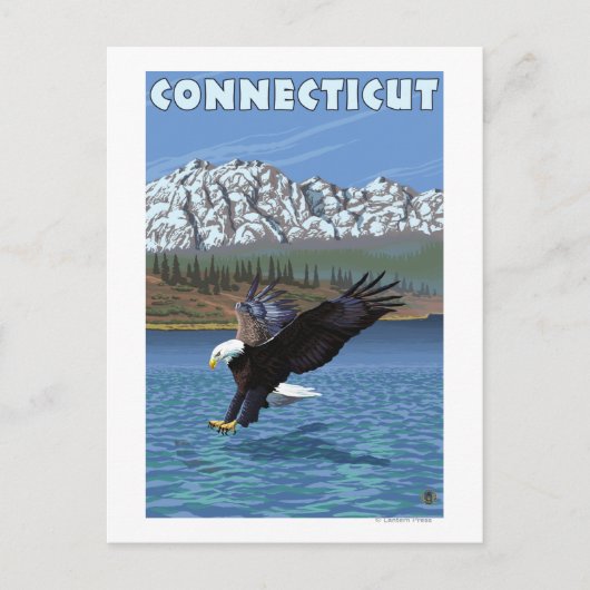 ConnecticutEagle Gevist Briefkaart (Voorkant)