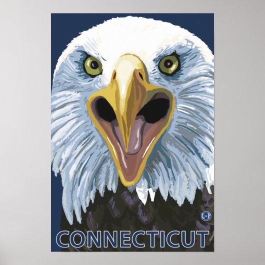 ConnecticutEagle Up Sluiten Poster (Voorkant)