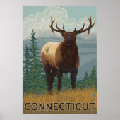 ConnecticutElk Scene Poster (Voorkant)