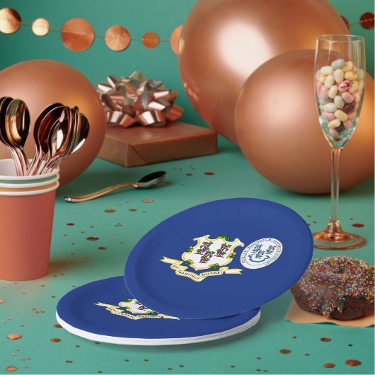 Connecticuter Flag & Seal, Connecticut Papieren Bordje (Multi)