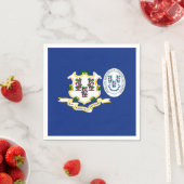 Connecticuter Flag & Seal, Connecticut Servet (Insitu)