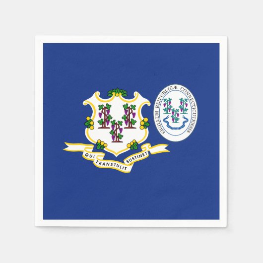 Connecticuter Flag & Seal, Connecticut Servet (Voorkant)