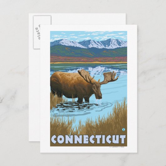 ConnecticutMoose Drink in het meer Briefkaart (Voorkant / Achterkant)