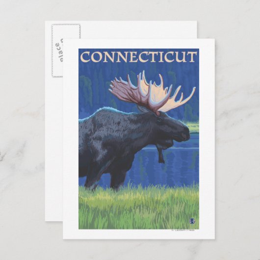 ConnecticutMoose in het motorlicht Briefkaart (Voorkant / Achterkant)