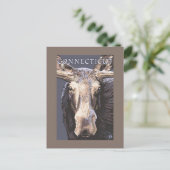 ConnecticutMoose Up Sluiten Briefkaart (Staand voorkant)