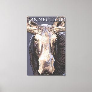 ConnecticutMoose Up Sluiten Canvas Afdruk